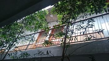 Oliver'S Hostelry Bandung Ngoại thất bức ảnh